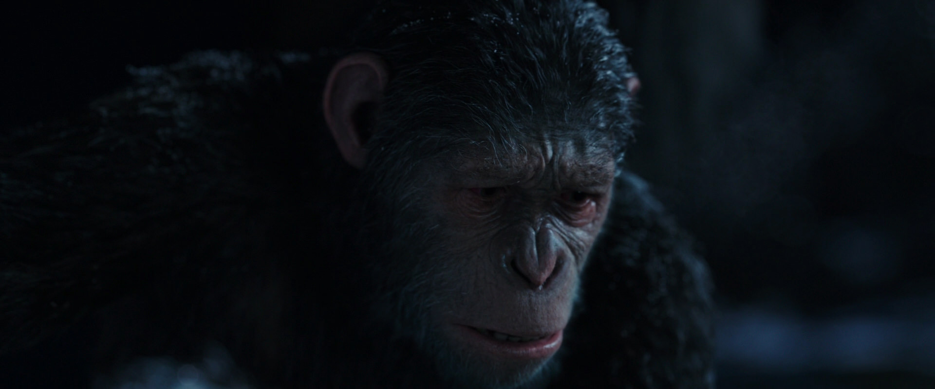 War for the Planet of the Apes (2017) HD screenshot 7160