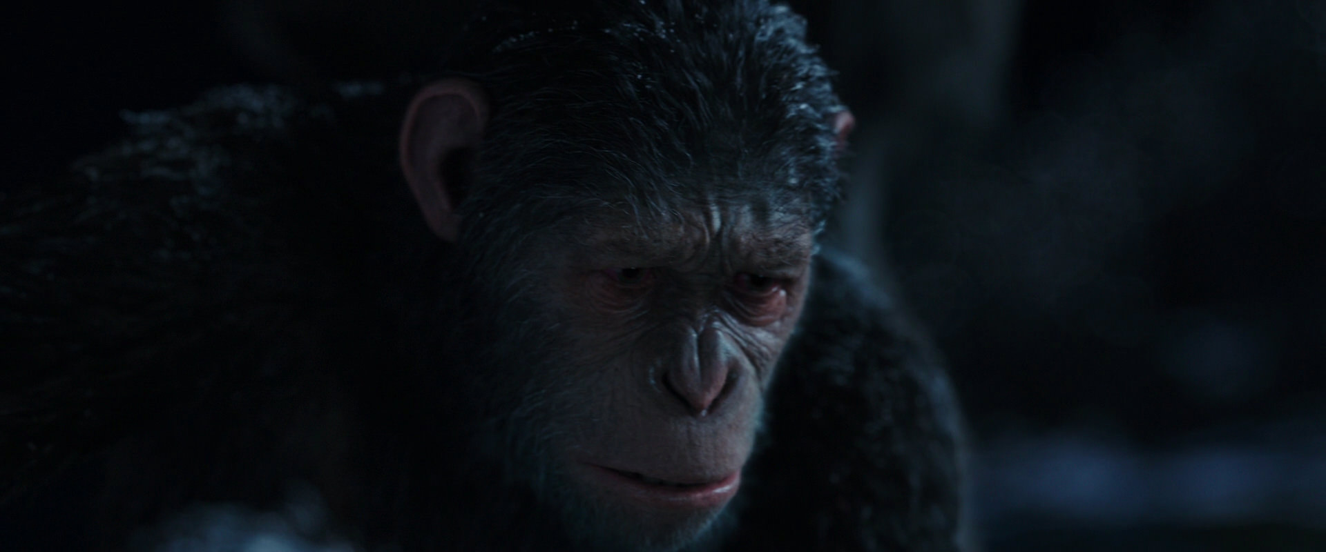 War for the Planet of the Apes (2017) screencap 7161