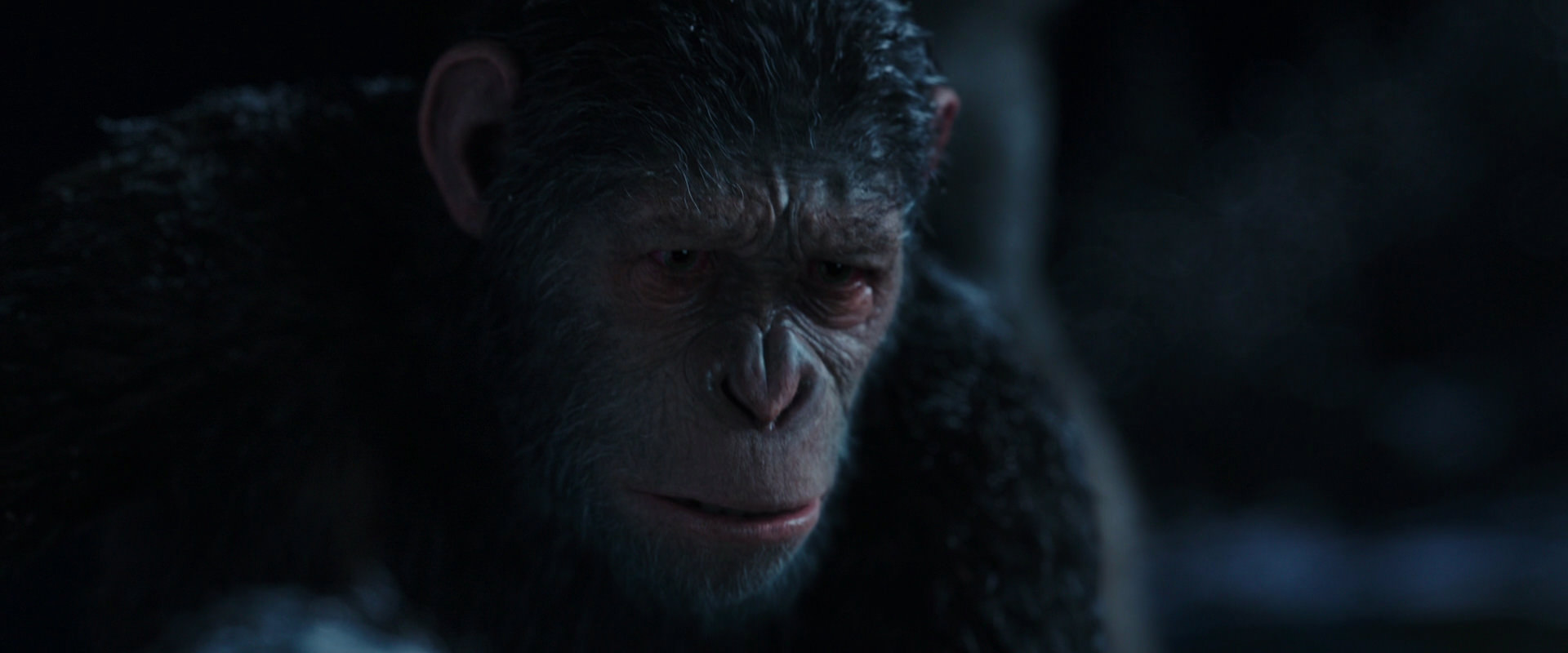 War for the Planet of the Apes (2017) movie still 7162