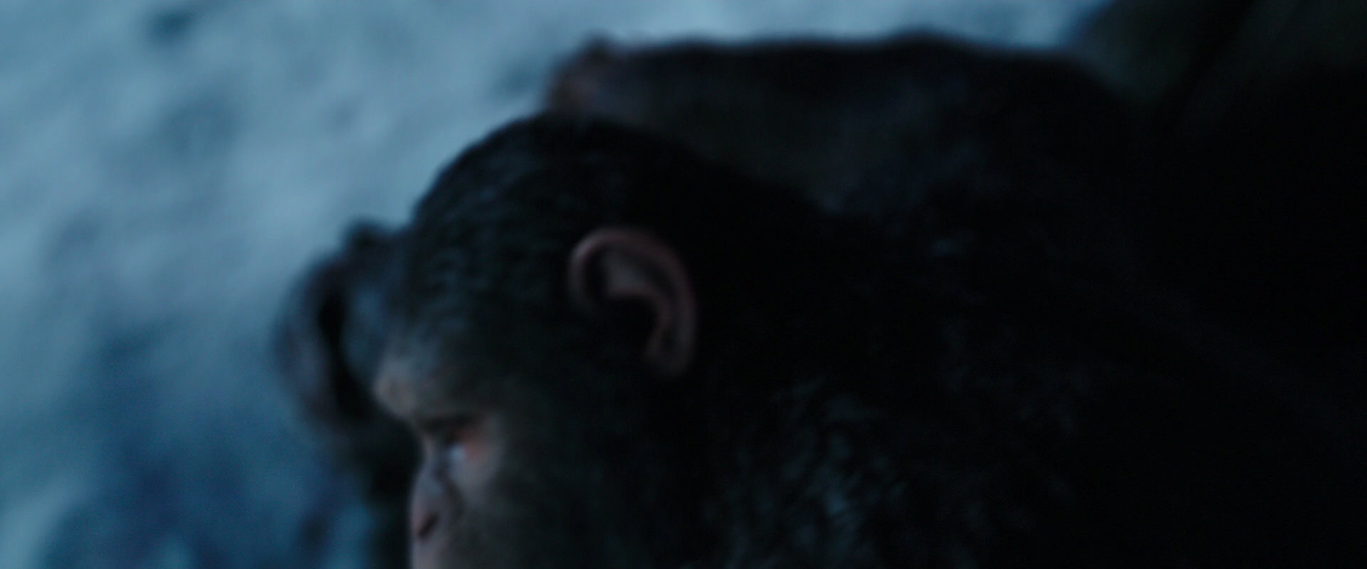 War for the Planet of the Apes (2017) screencap 7164
