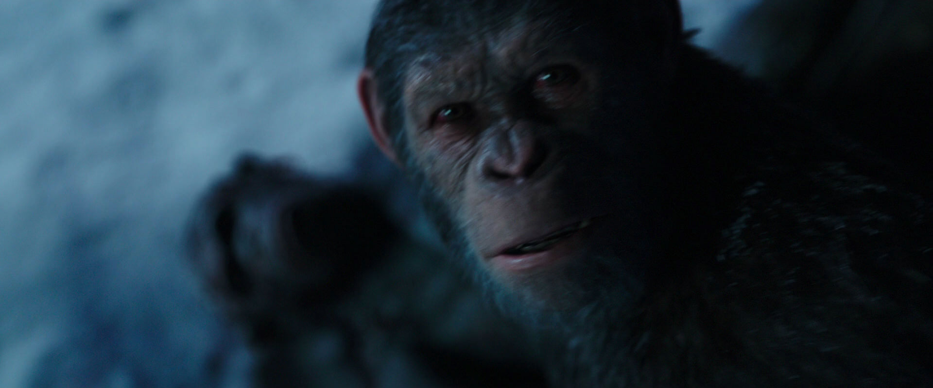War for the Planet of the Apes (2017) movie still 7165