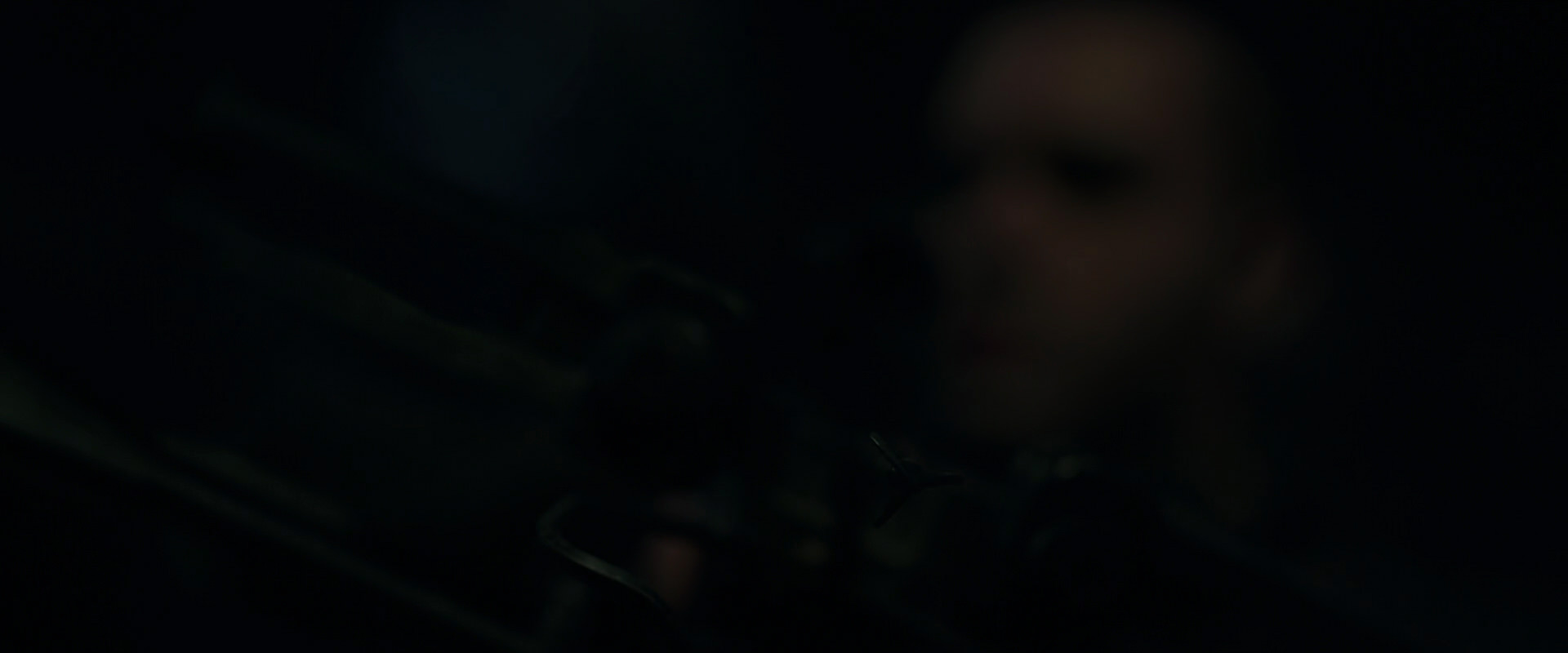 War for the Planet of the Apes (2017) screencap 7179