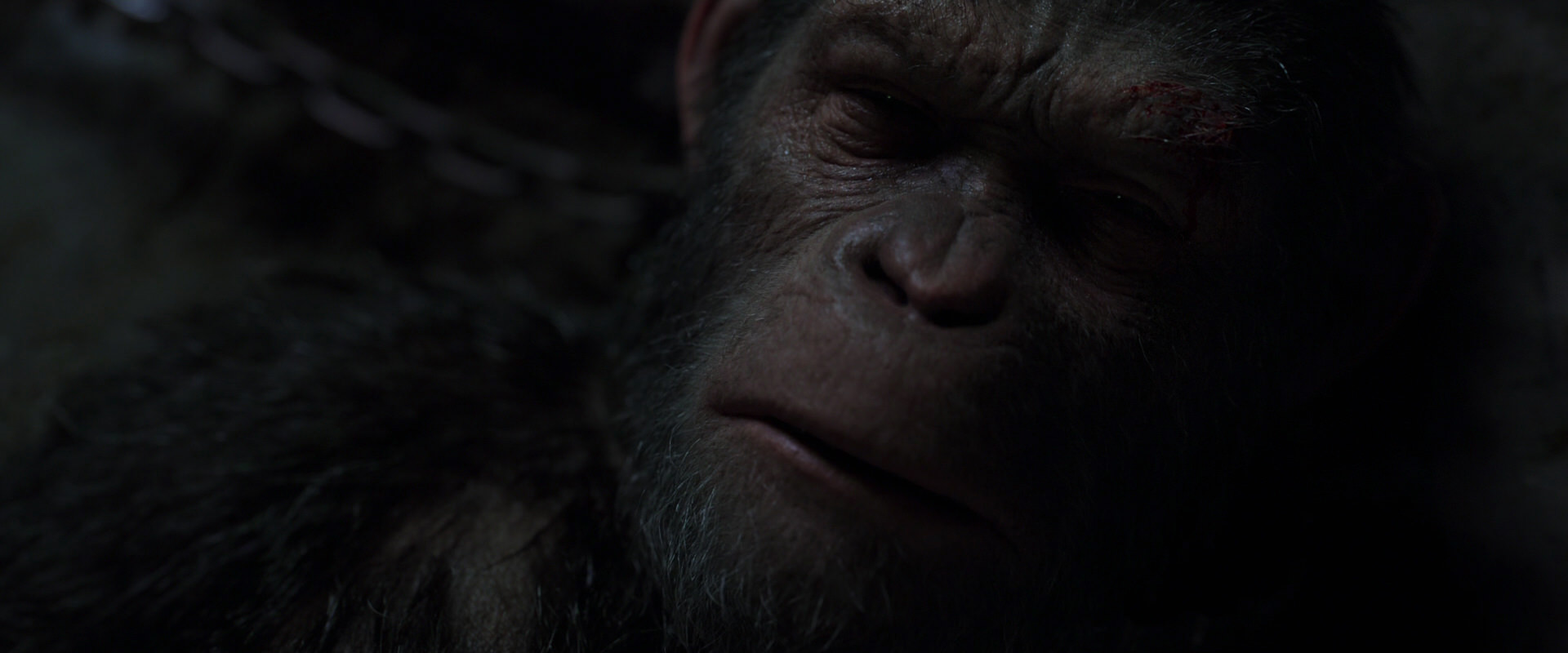 War for the Planet of the Apes (2017) movie still 7189