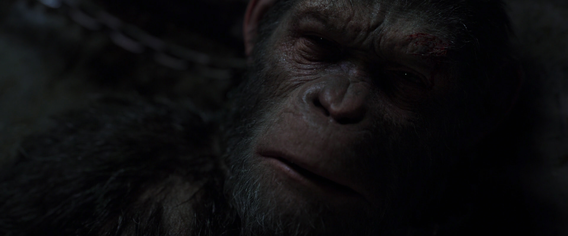 War for the Planet of the Apes (2017) HD screenshot 7190