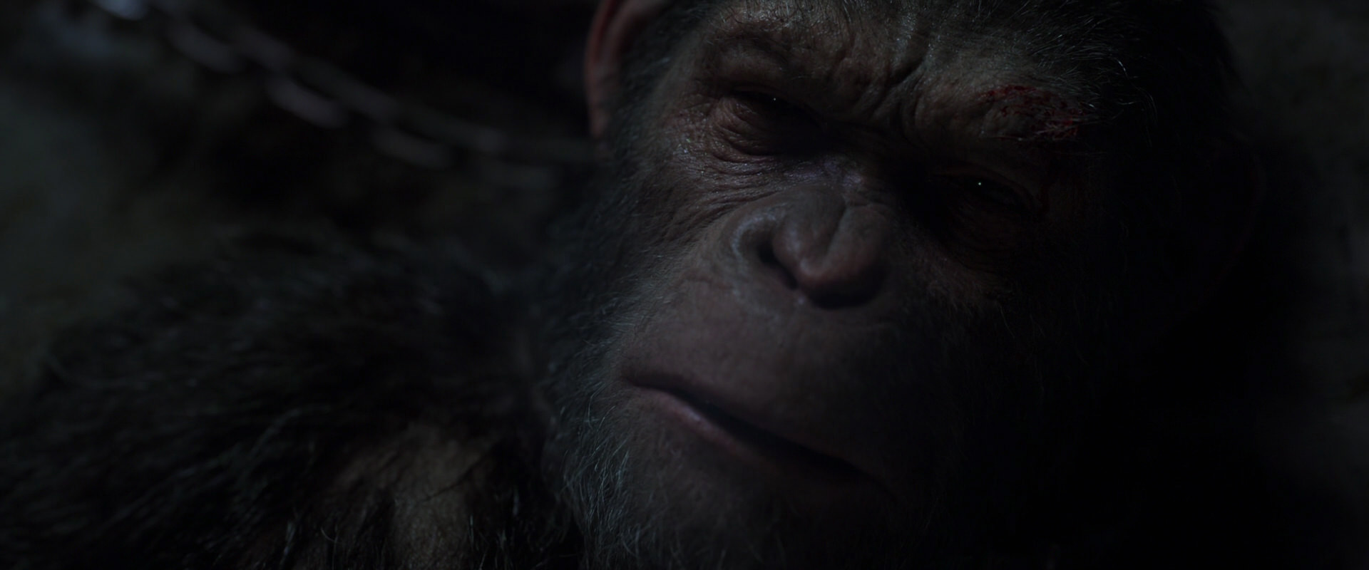 War for the Planet of the Apes (2017) screencap 7191
