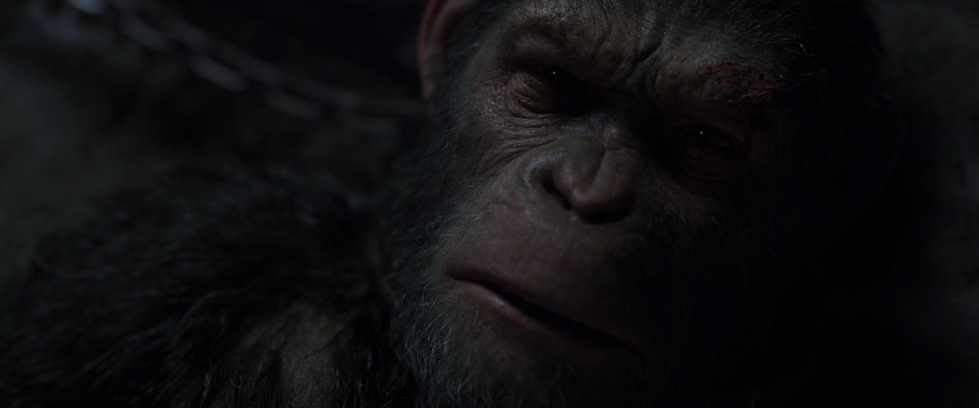 War for the Planet of the Apes (2017) movie still 7192