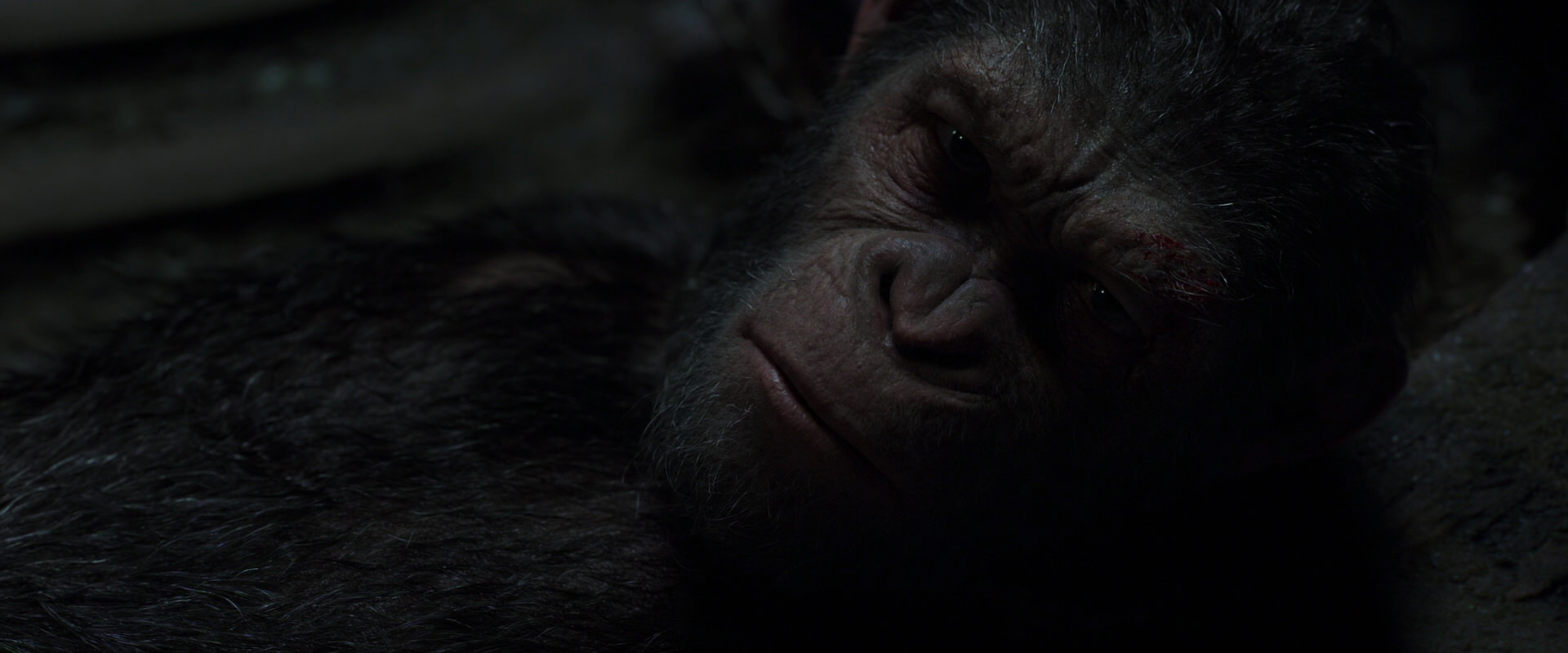 War for the Planet of the Apes (2017) movie still 7231