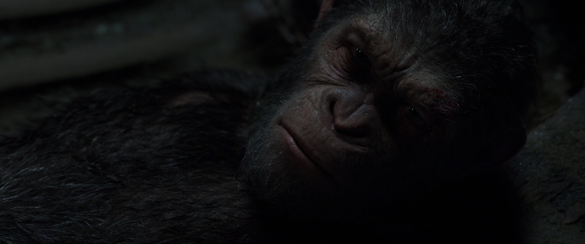 War for the Planet of the Apes (2017) HD screenshot 7232