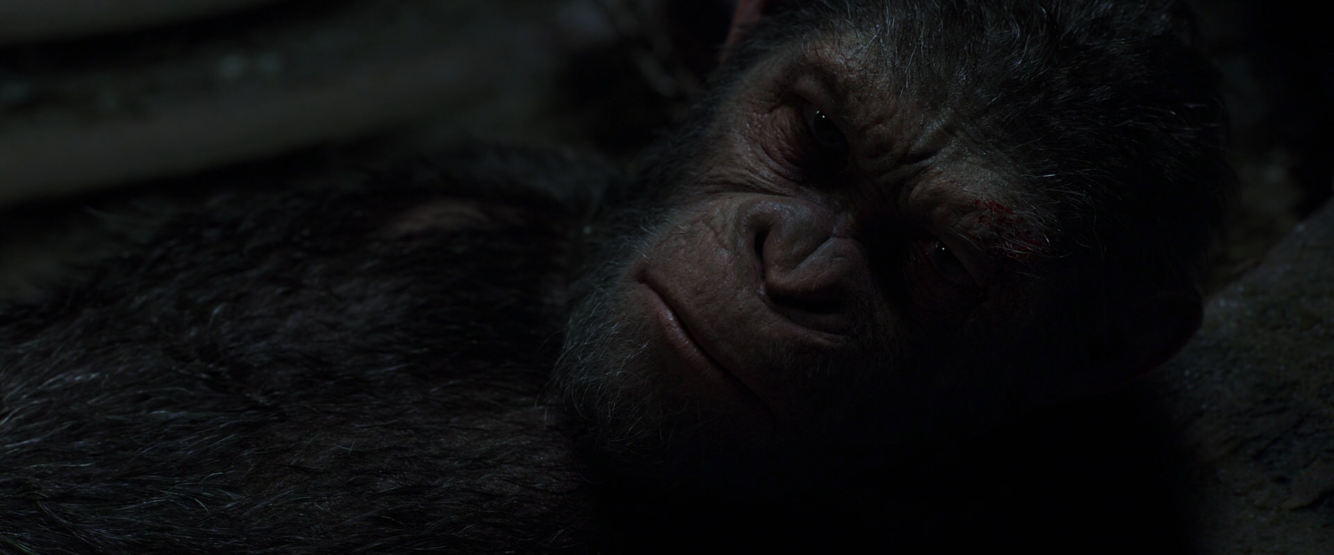 War for the Planet of the Apes (2017) screencap 7233