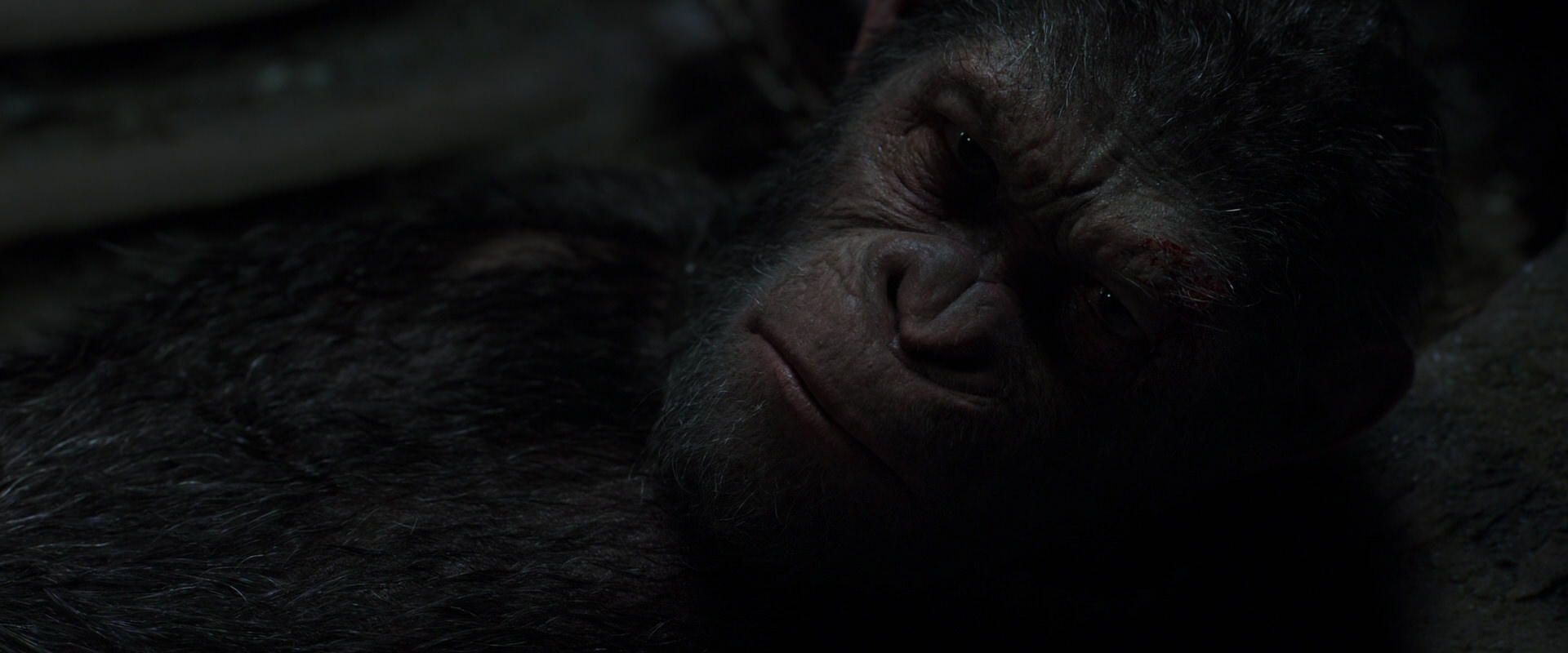 War for the Planet of the Apes (2017) movie still 7234