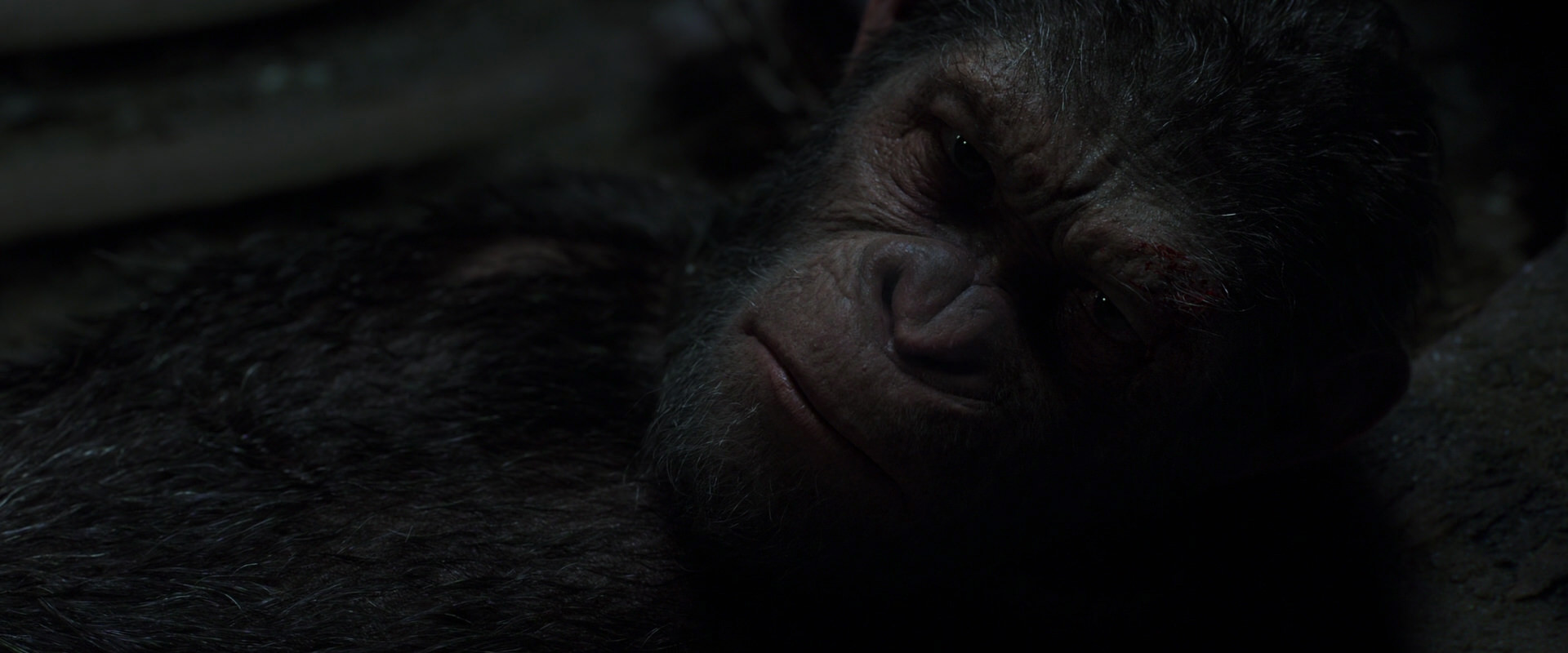 War for the Planet of the Apes (2017) HD screenshot 7235