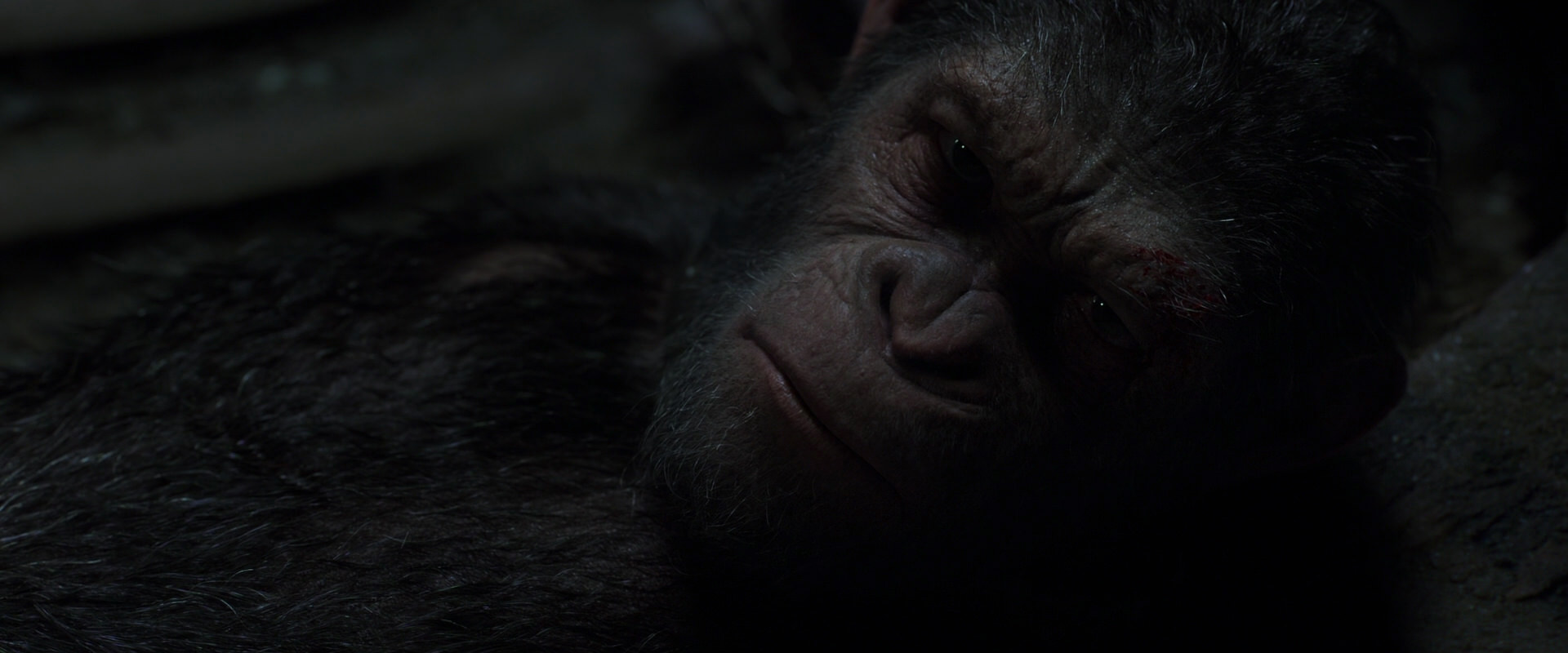 War for the Planet of the Apes (2017) screencap 7236