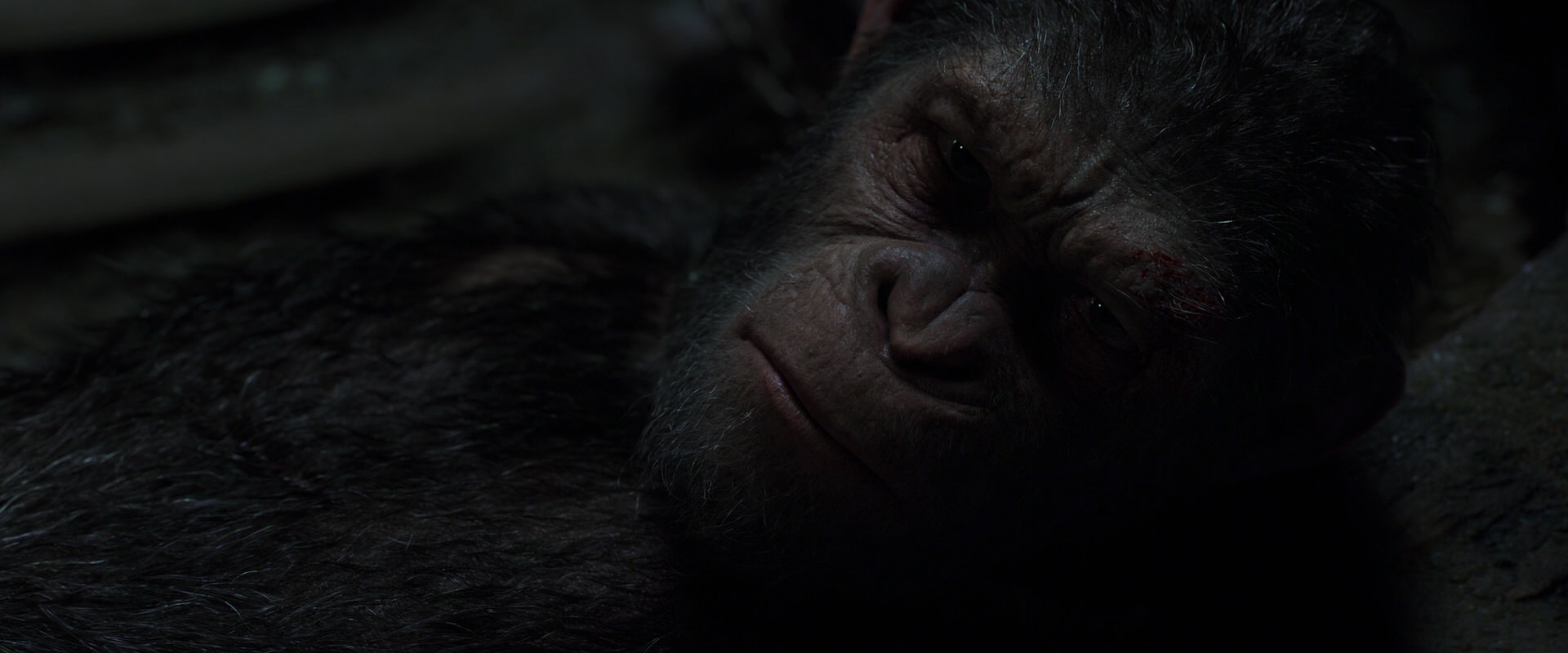 War for the Planet of the Apes (2017) HD screenshot 7238