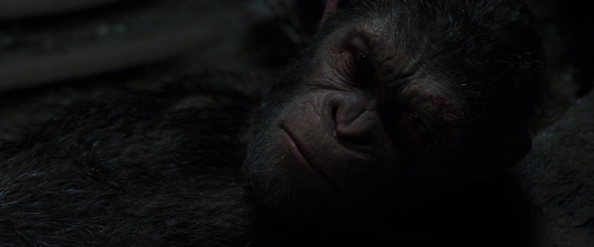 War for the Planet of the Apes (2017) screencap 7239