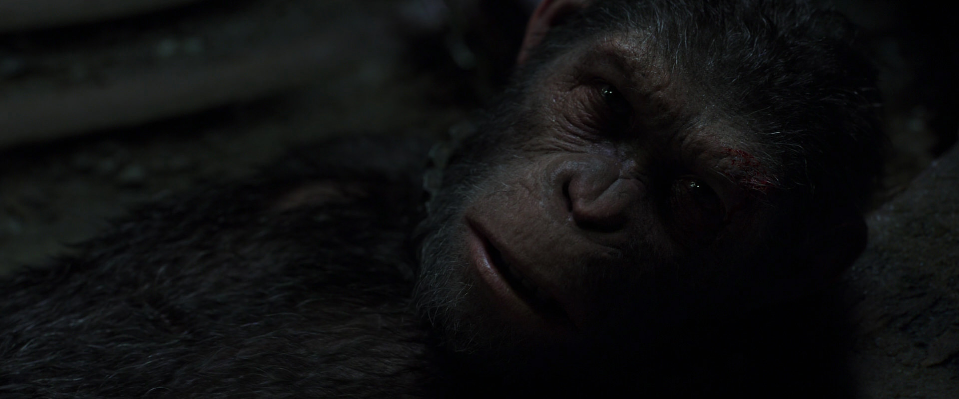 War for the Planet of the Apes (2017) HD screenshot 7259