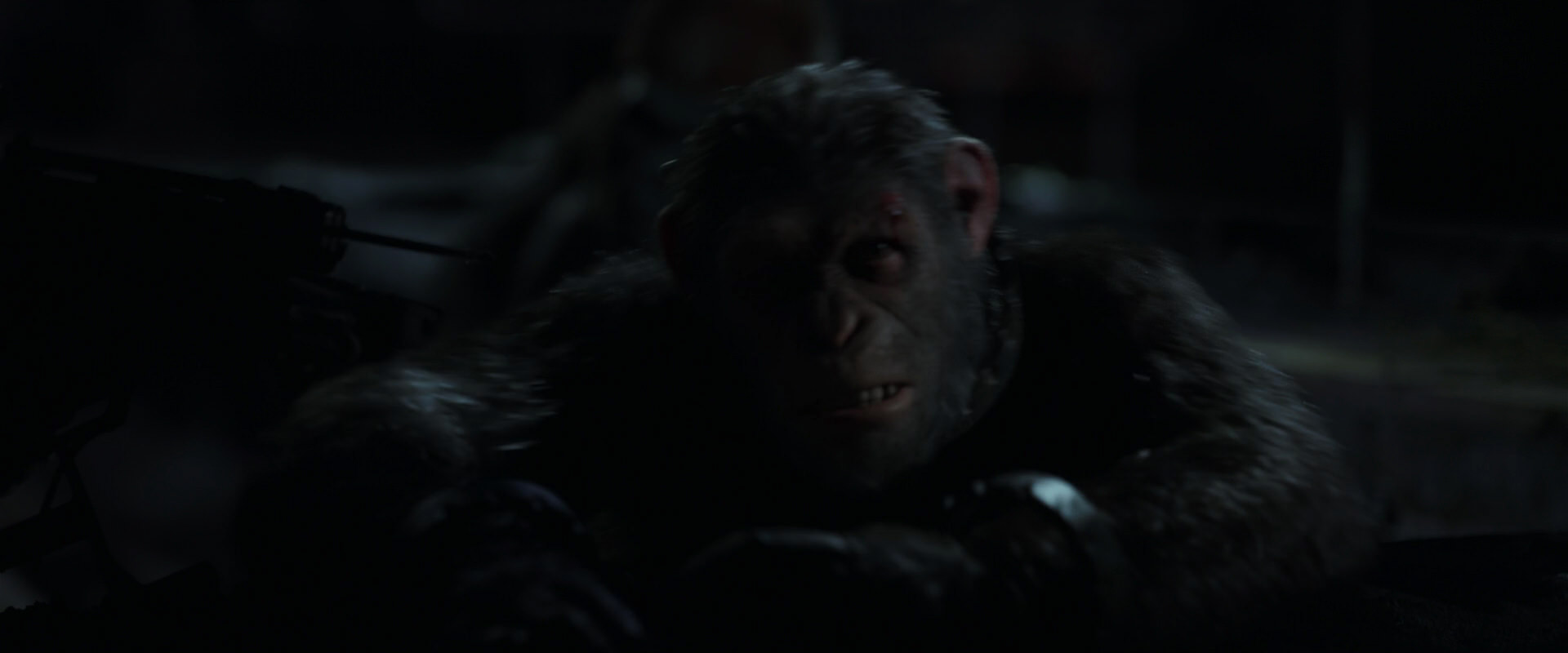 War for the Planet of the Apes (2017) screencap 7266