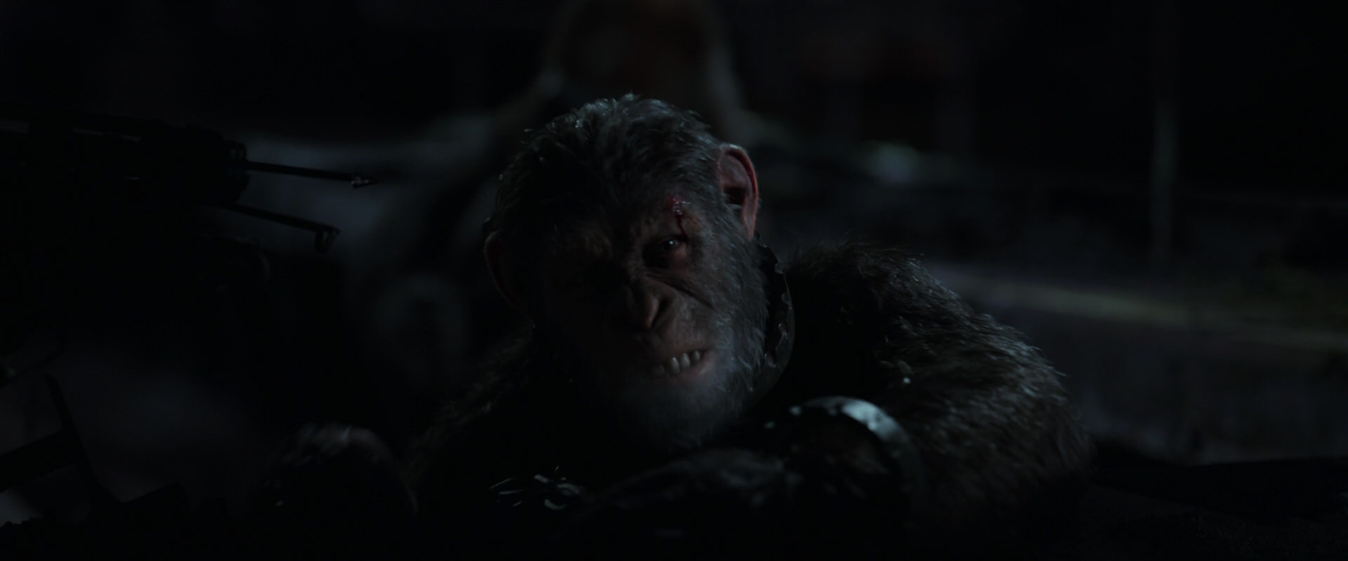 War for the Planet of the Apes (2017) movie still 7267