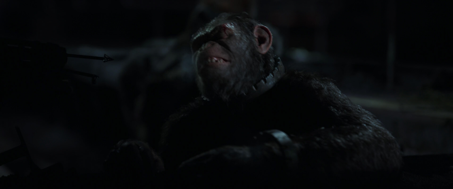 War for the Planet of the Apes (2017) HD screenshot 7268