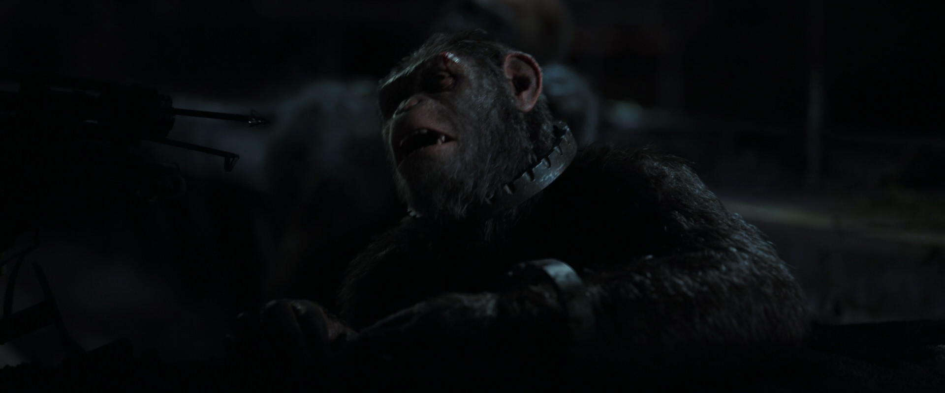 War for the Planet of the Apes (2017) screencap 7269