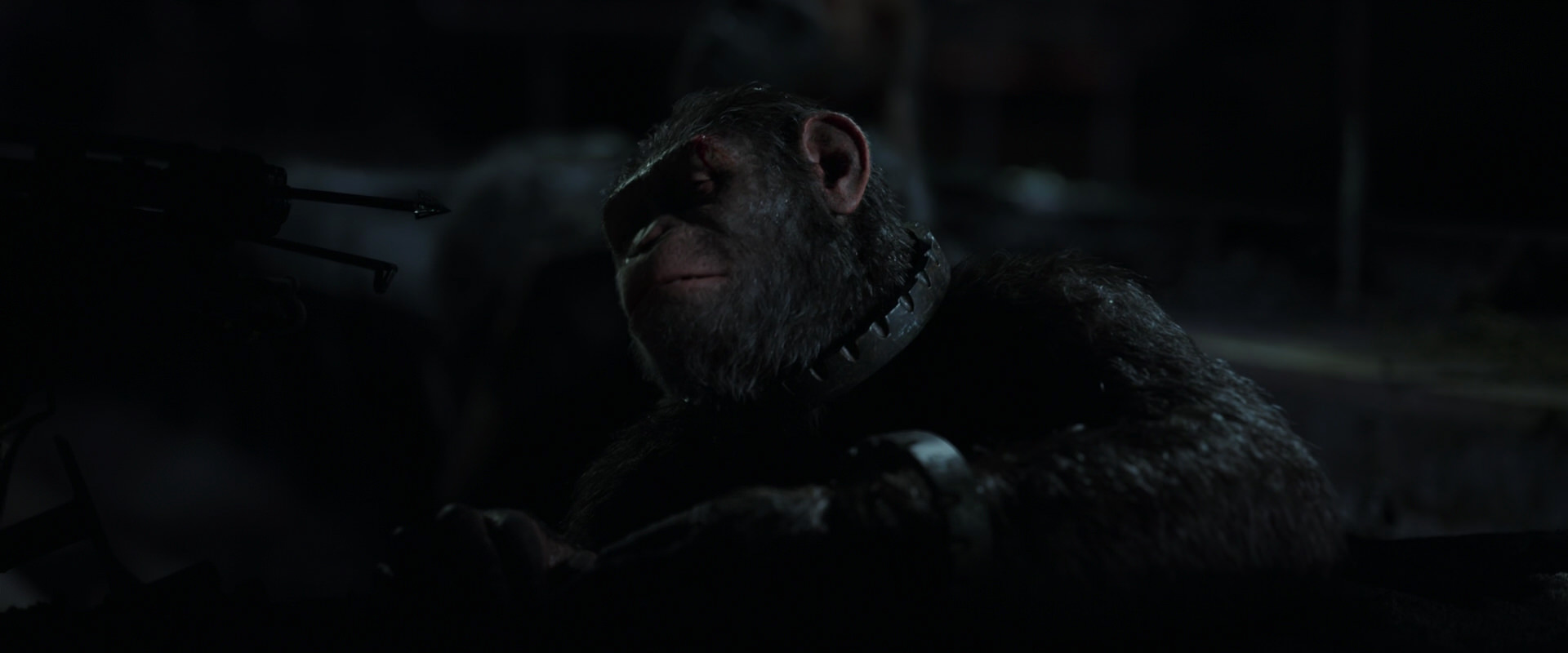 War for the Planet of the Apes (2017) movie still 7270