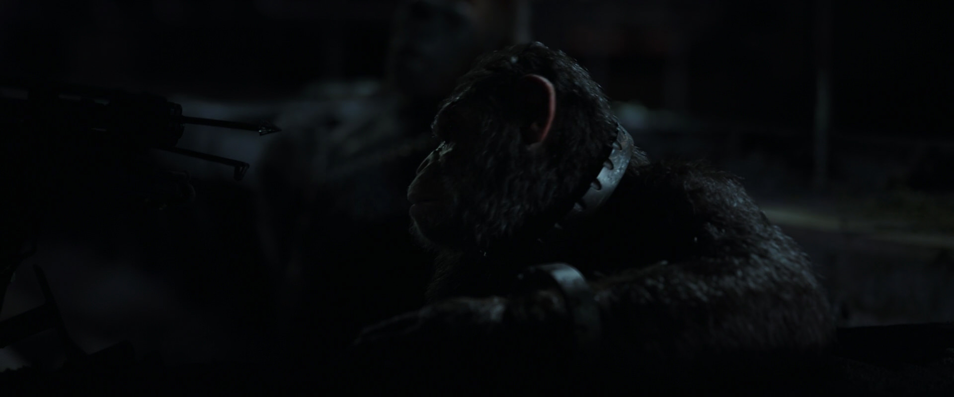 War for the Planet of the Apes (2017) screencap 7272
