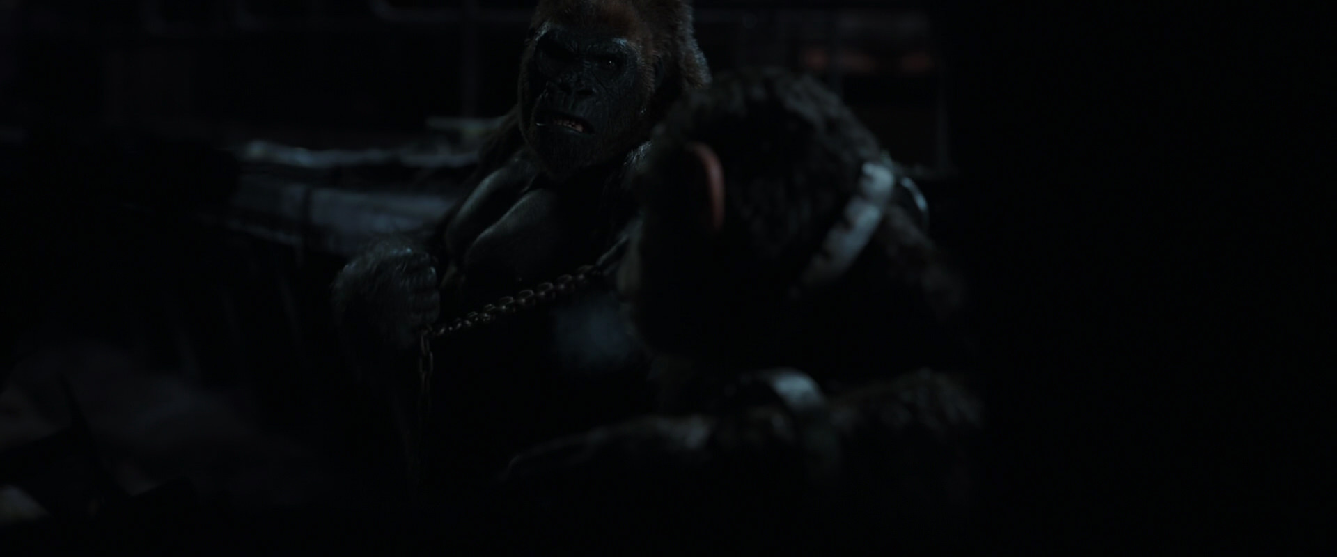 War for the Planet of the Apes (2017) HD screenshot 7274