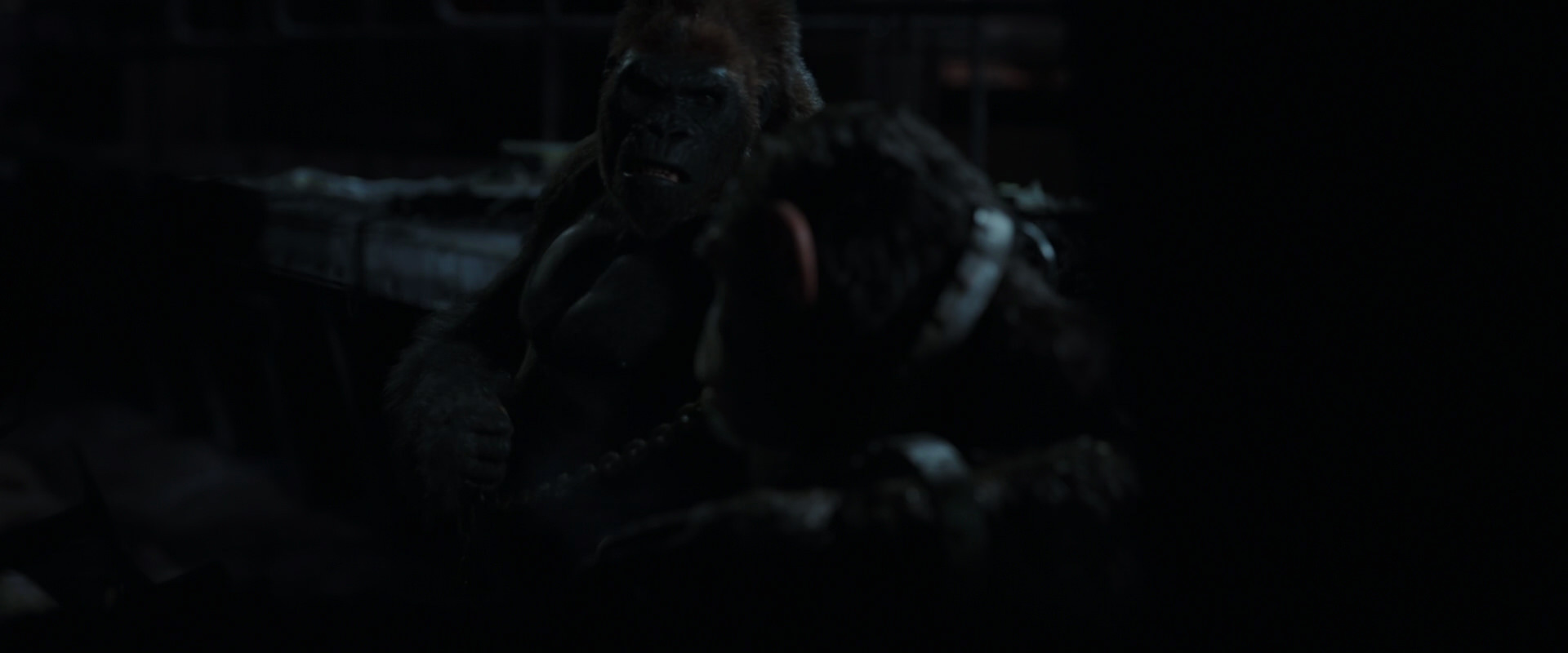 War for the Planet of the Apes (2017) screencap 7275