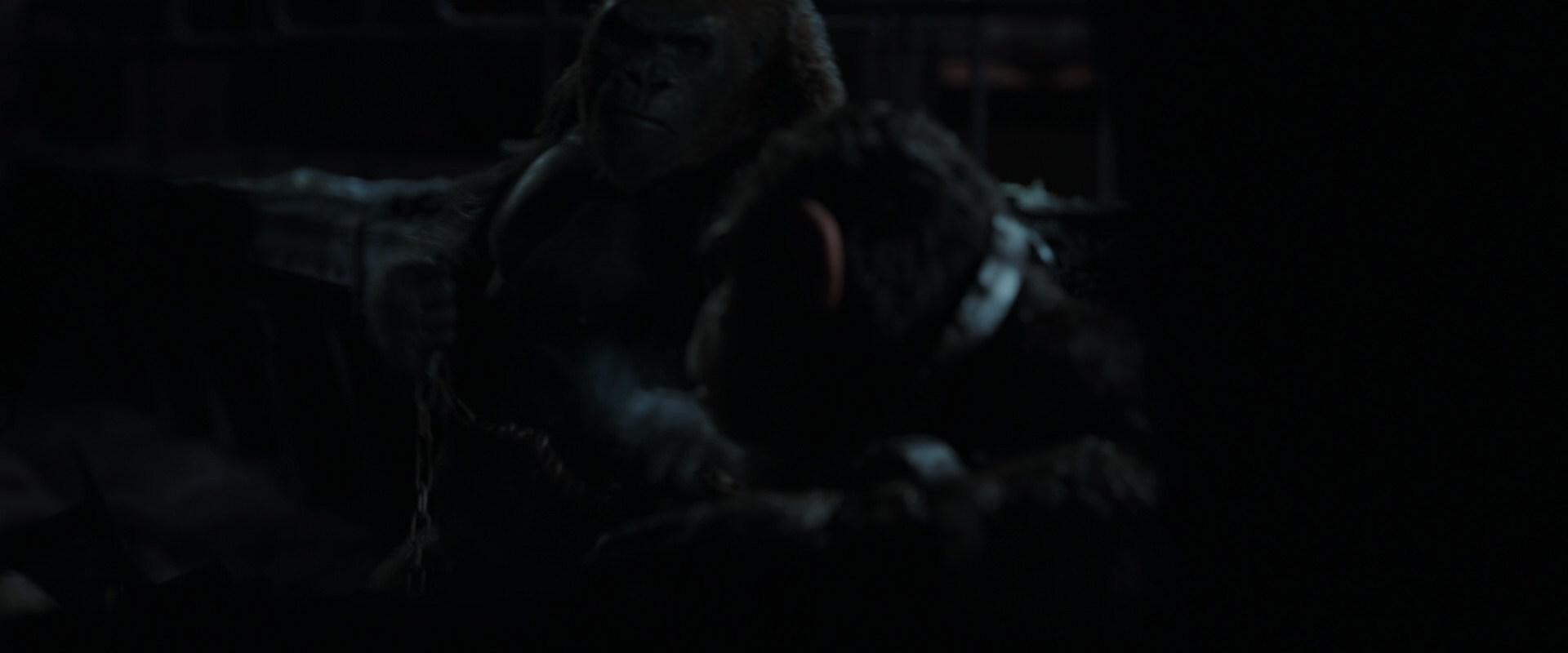 War for the Planet of the Apes (2017) movie still 7276