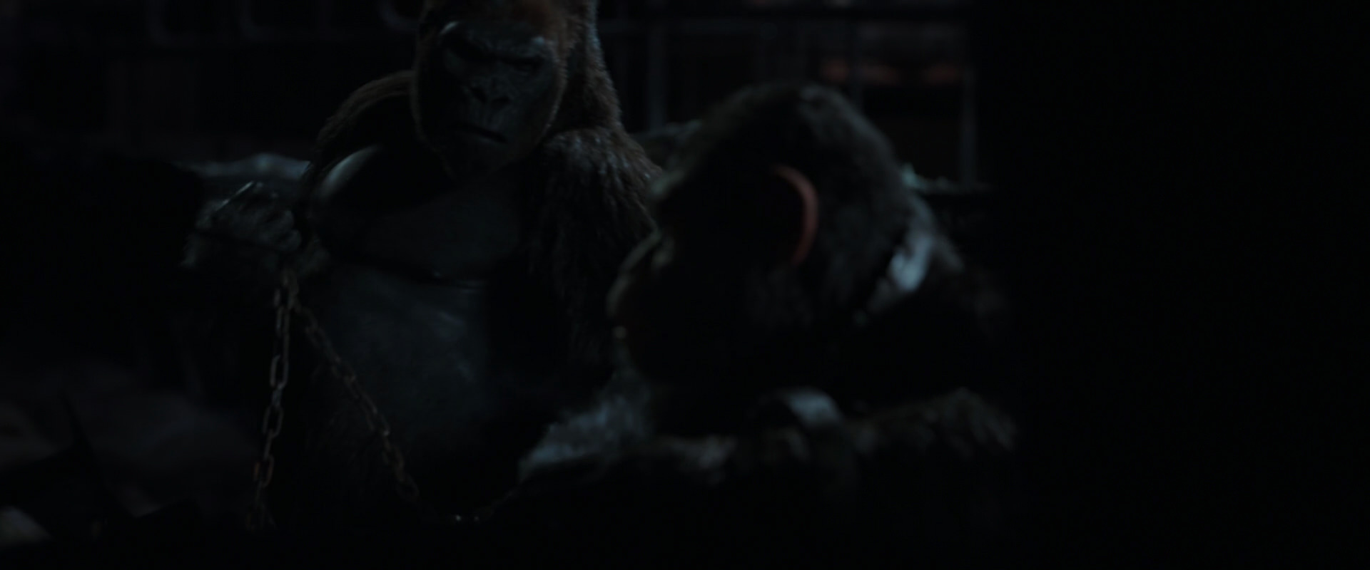 War for the Planet of the Apes (2017) HD screenshot 7277