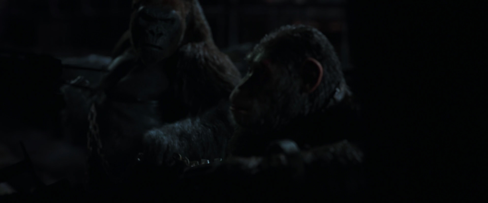 War for the Planet of the Apes (2017) screencap 7278