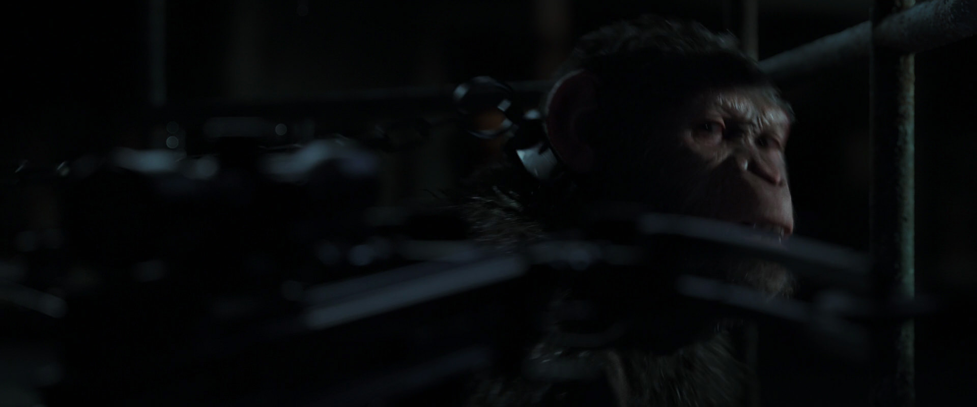 War for the Planet of the Apes (2017) movie still 7279