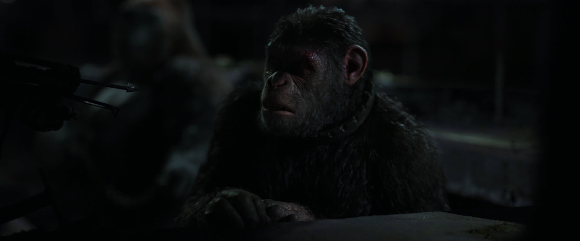 War for the Planet of the Apes (2017) movie still 7285
