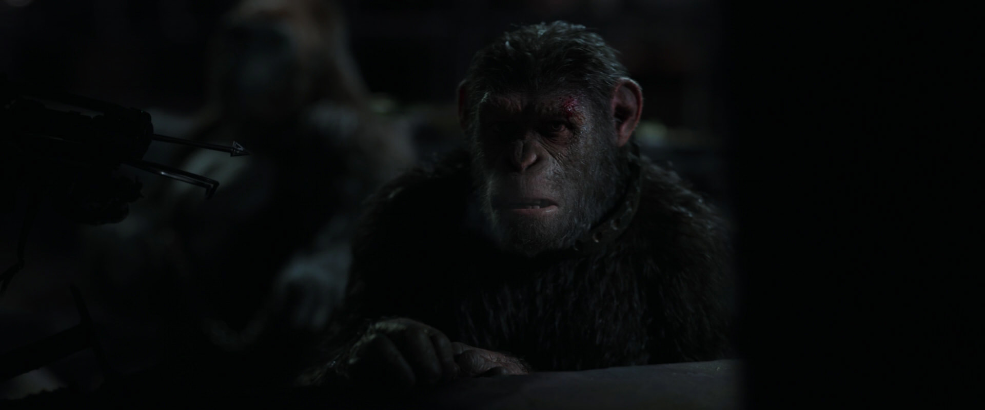 War for the Planet of the Apes (2017) HD screenshot 7286