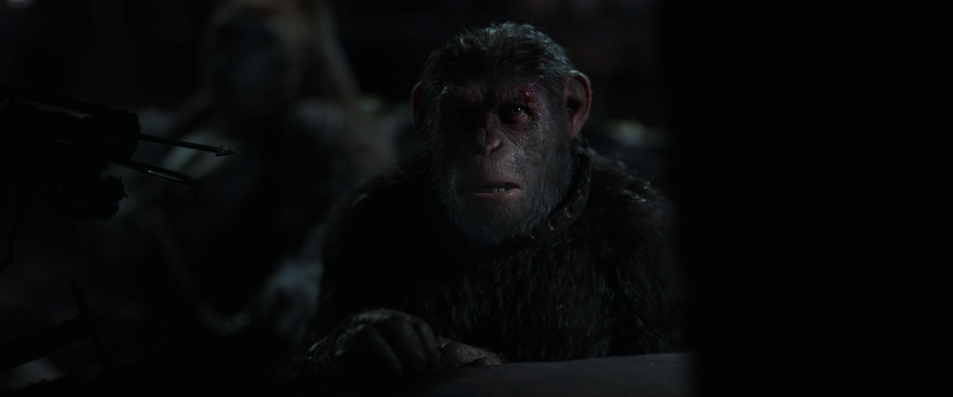 War for the Planet of the Apes (2017) screencap 7287