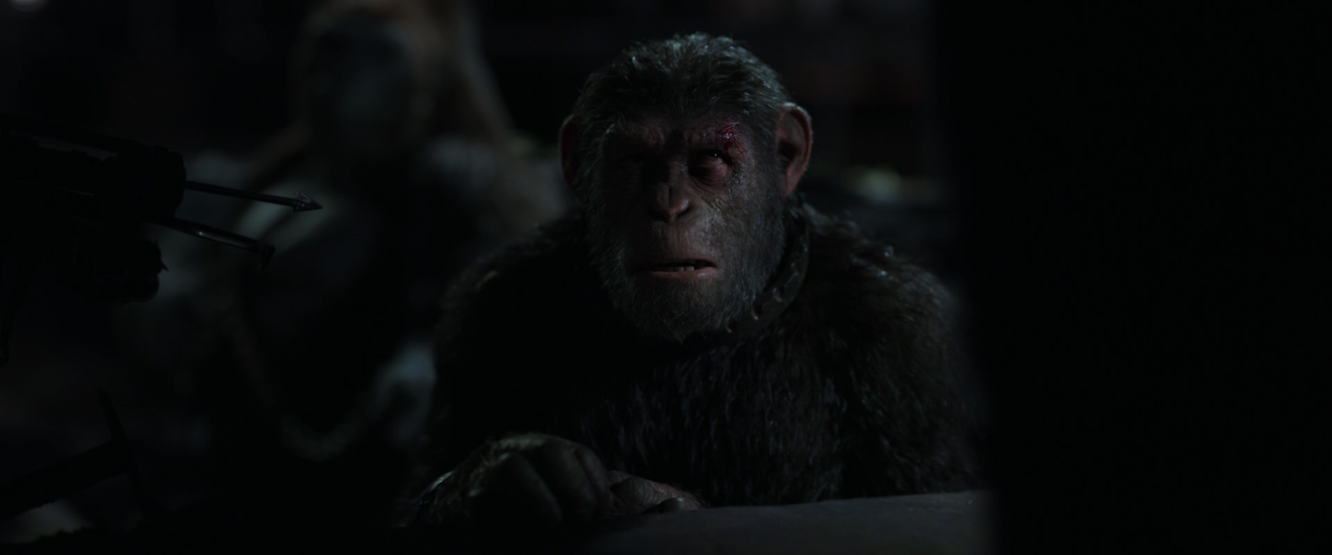 War for the Planet of the Apes (2017) movie still 7288