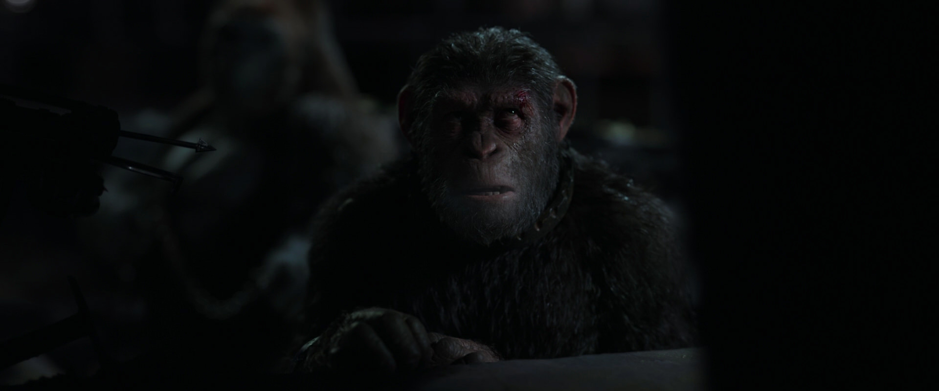 War for the Planet of the Apes (2017) HD screenshot 7289