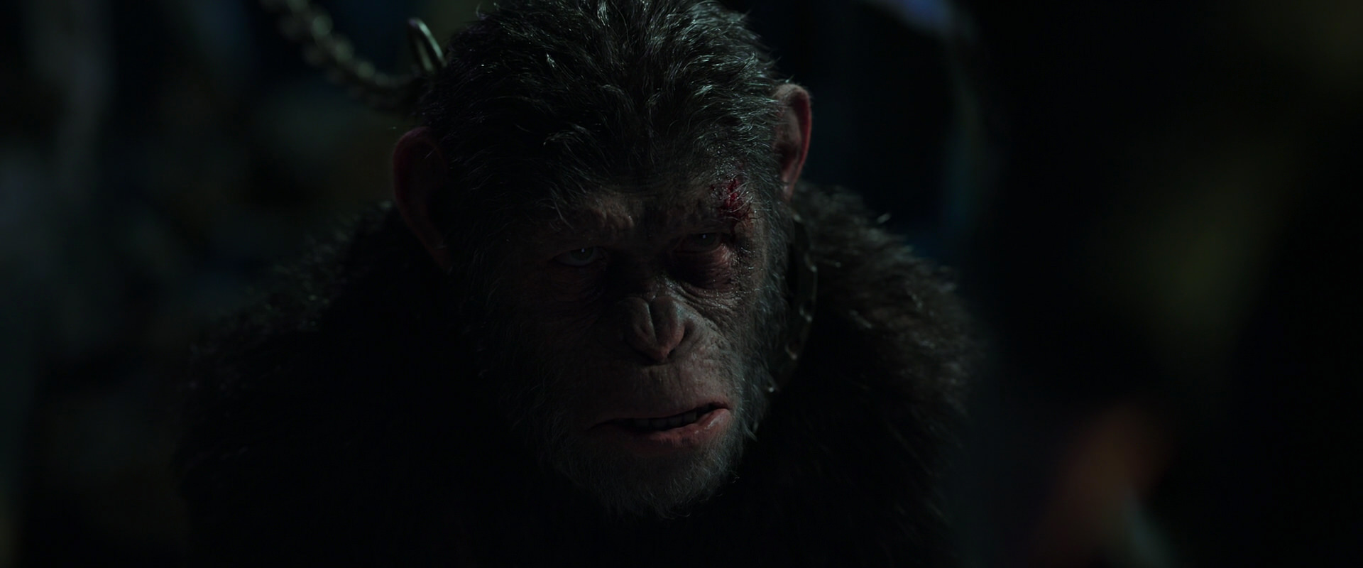 War for the Planet of the Apes (2017) HD screenshot 7316