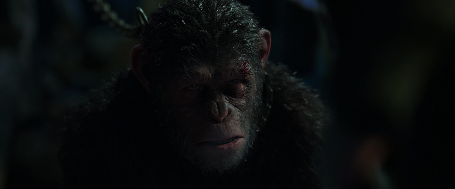 War for the Planet of the Apes (2017) screencap 7317