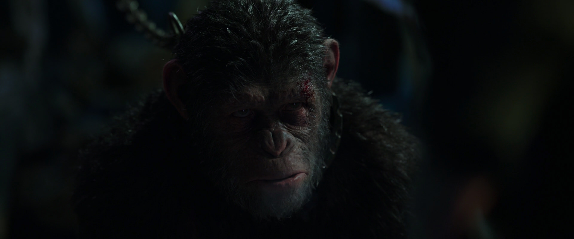 War for the Planet of the Apes (2017) movie still 7318