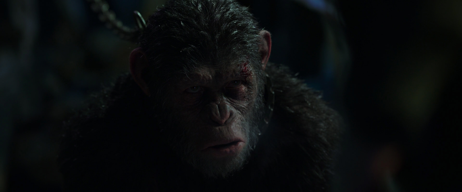 War for the Planet of the Apes (2017) HD screenshot 7319