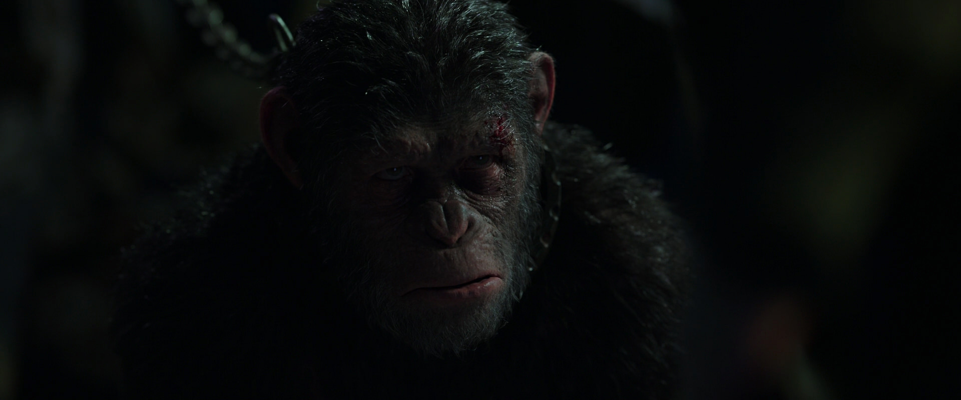 War for the Planet of the Apes (2017) HD screenshot 7325