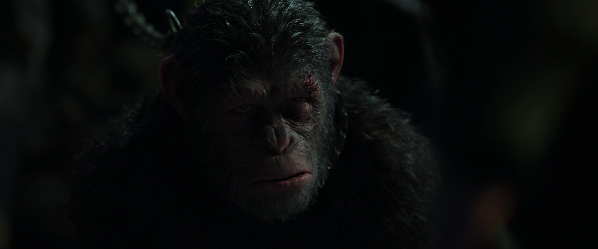 War for the Planet of the Apes (2017) screencap 7326