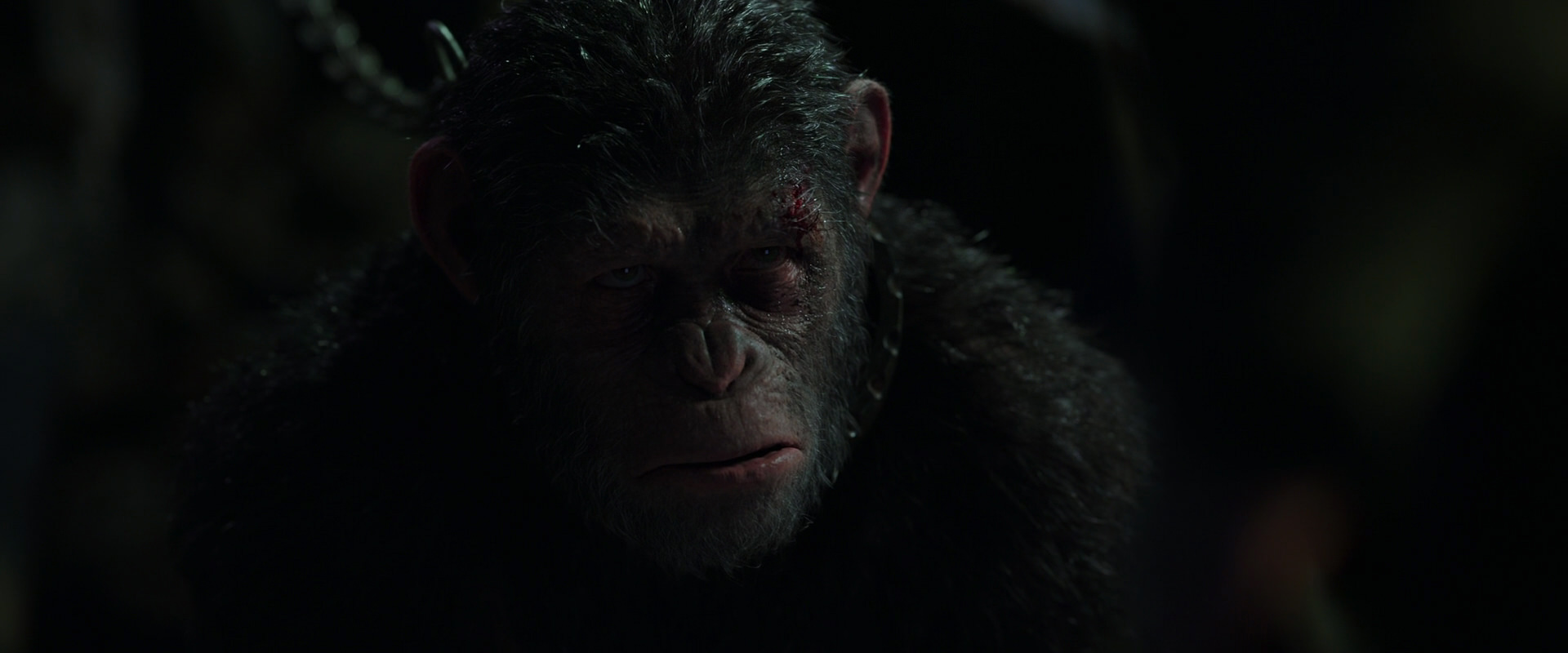 War for the Planet of the Apes (2017) movie still 7327