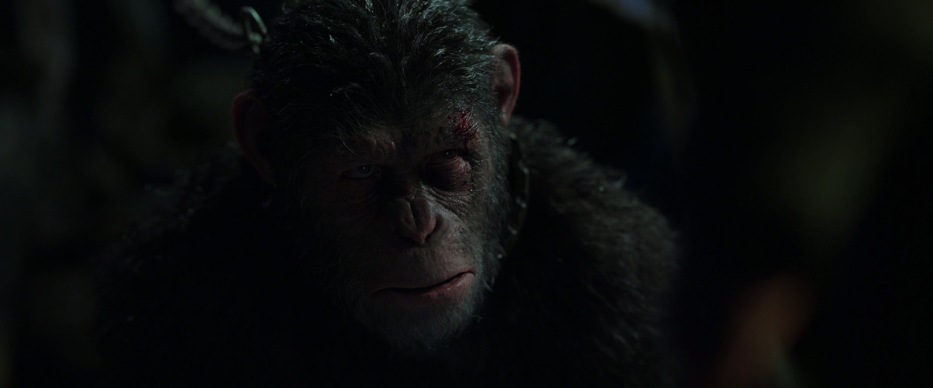War for the Planet of the Apes (2017) screencap 7335