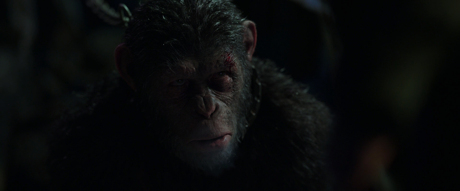 War for the Planet of the Apes (2017) movie still 7336