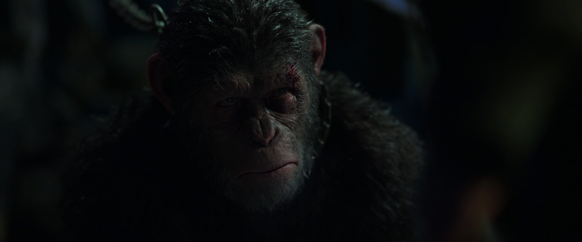 War for the Planet of the Apes (2017) HD screenshot 7337