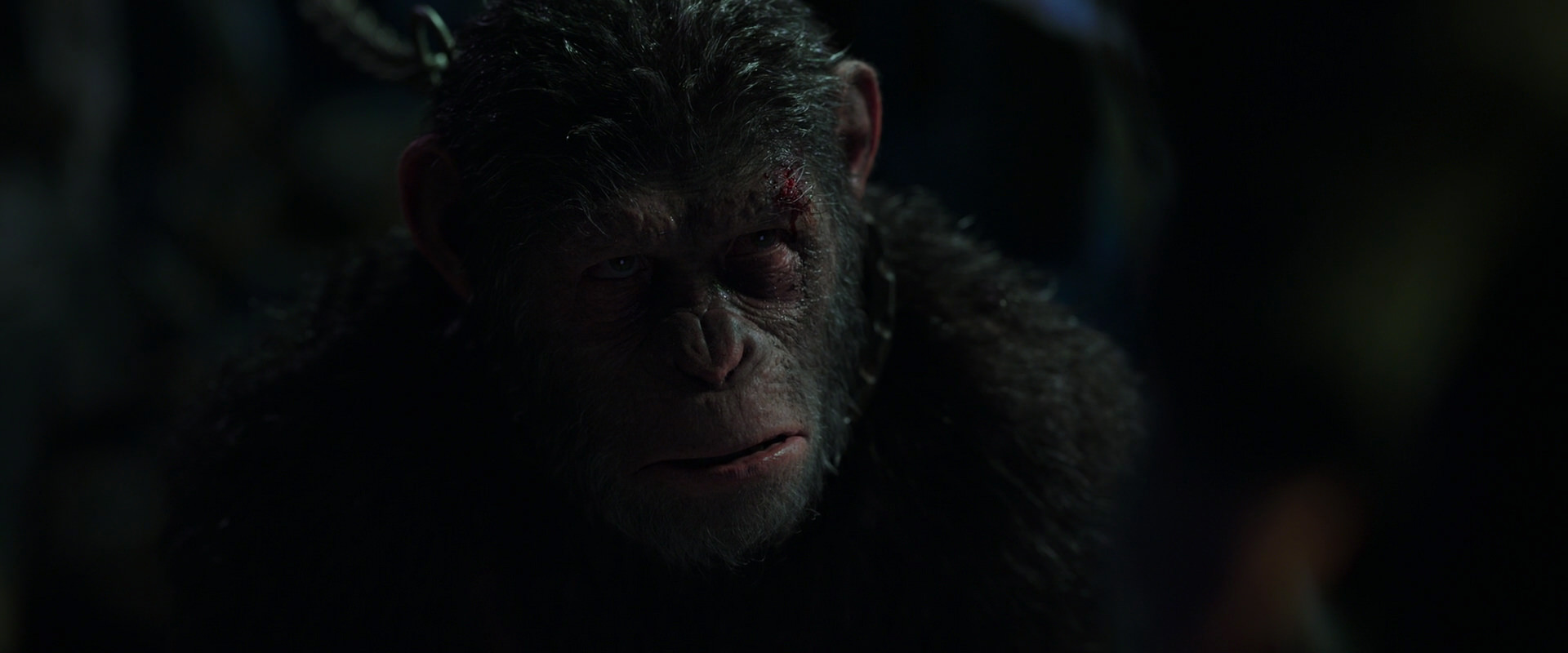 War for the Planet of the Apes (2017) screencap 7338