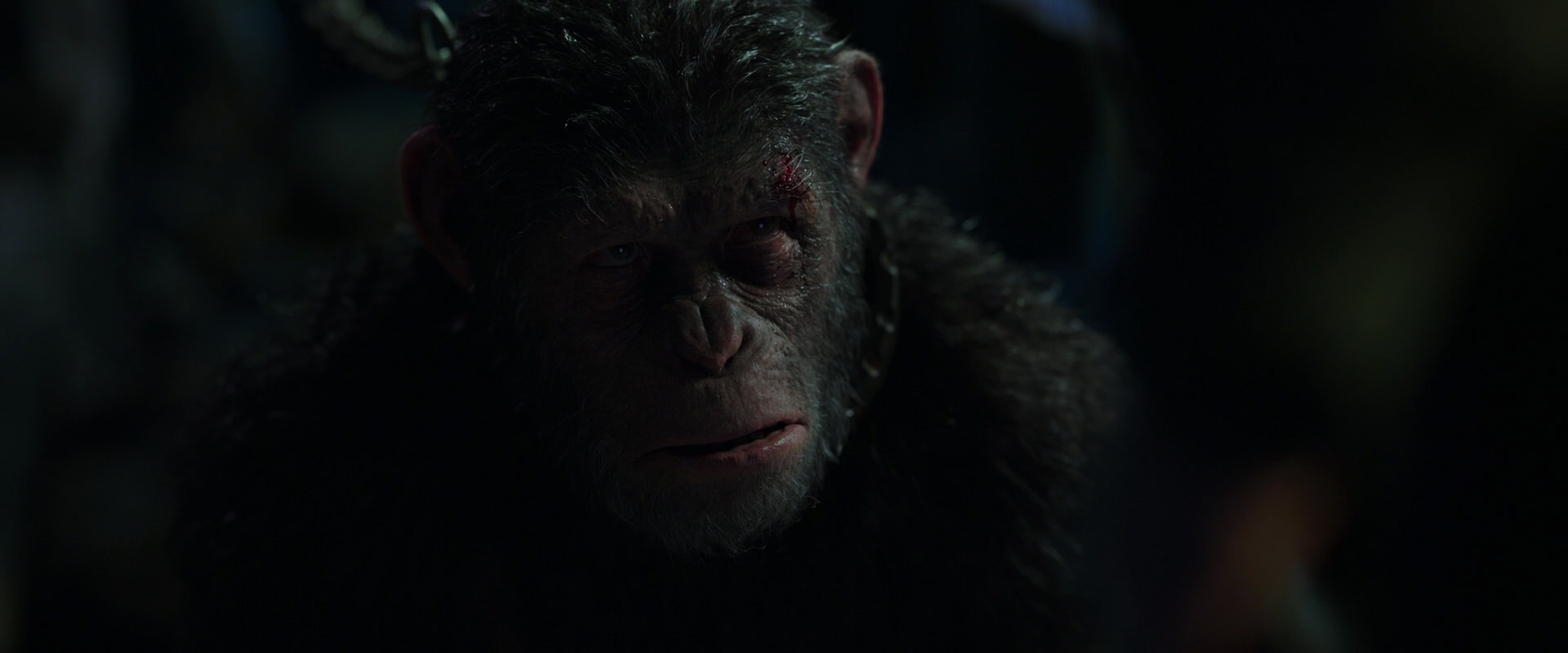 War for the Planet of the Apes (2017) movie still 7339