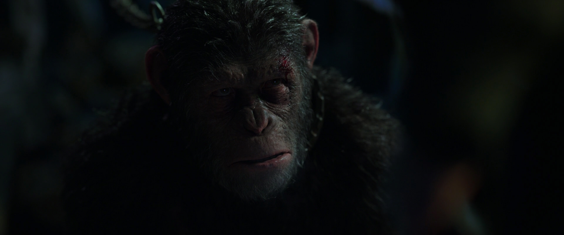 War for the Planet of the Apes (2017) HD screenshot 7340