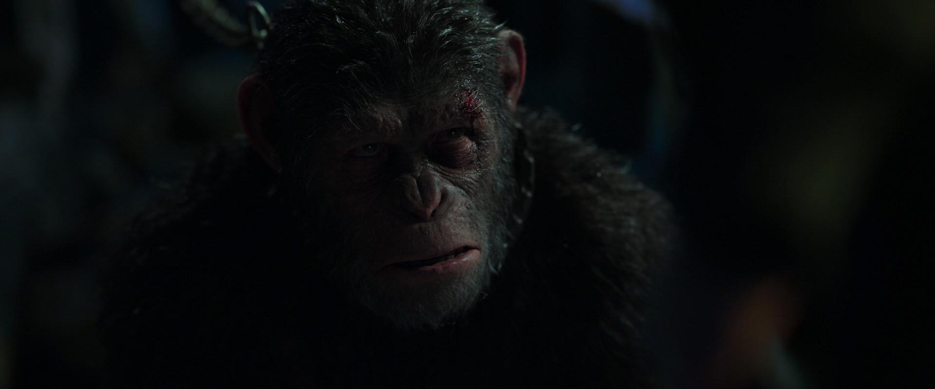 War for the Planet of the Apes (2017) screencap 7341